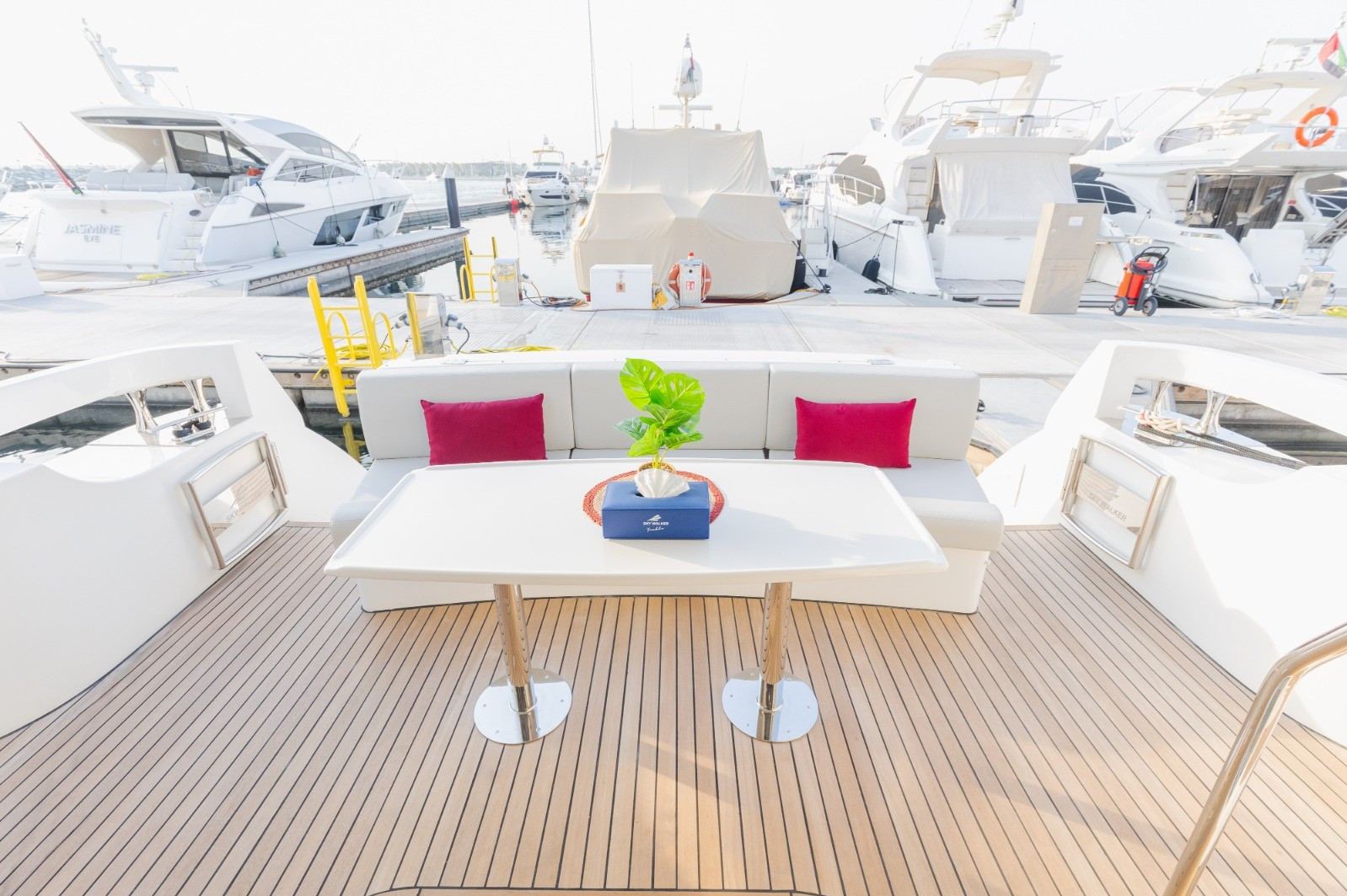 Sky Walker Ava — фото 2